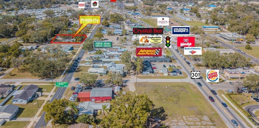 Commercial property in Zephyrhills, Florida 111.48 sq.m. № 1751469