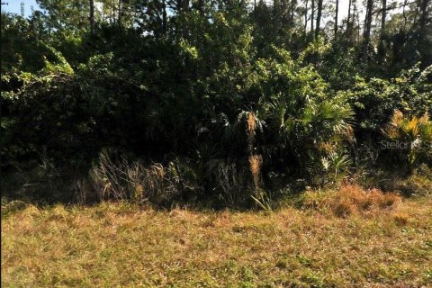 Купить земельный участок в Норт-Порт, Флорида № 2211226 - фото 2