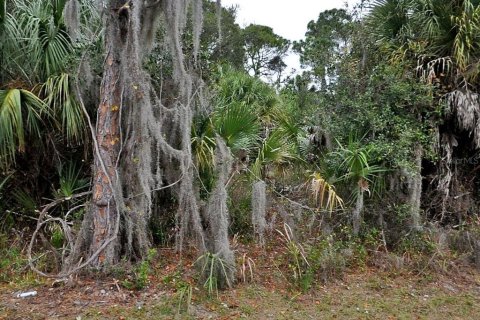 Land in North Port, Florida № 2161772 - photo 2