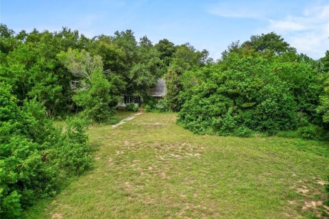 Land in Tavares, Florida № 1813546 - photo 3