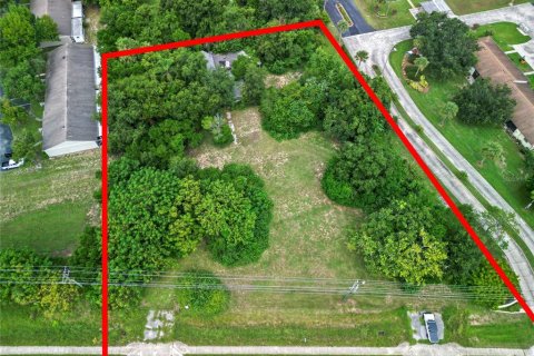 Land in Tavares, Florida № 1813546 - photo 2