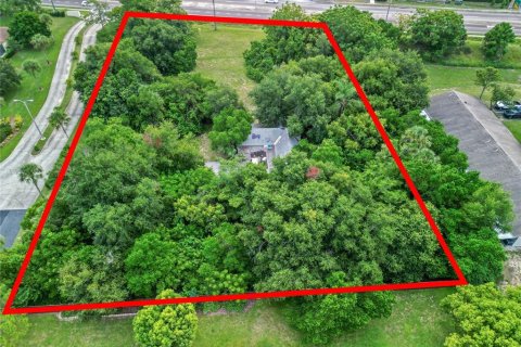 Land in Tavares, Florida № 1813546 - photo 7