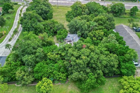 Land in Tavares, Florida № 1813546 - photo 9