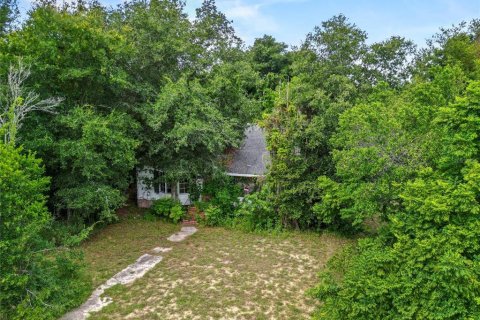 Land in Tavares, Florida № 1813546 - photo 4