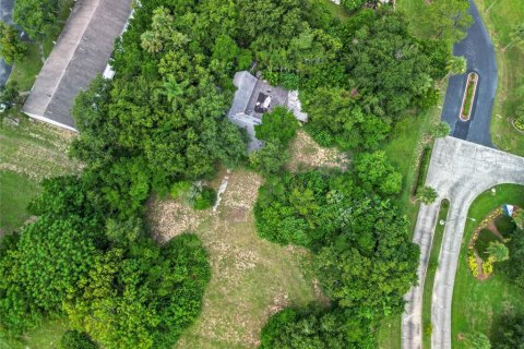 Land in Tavares, Florida № 1813546 - photo 8