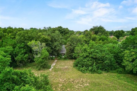Land in Tavares, Florida № 1813546 - photo 5