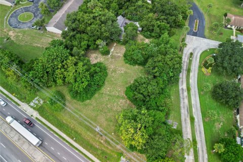 Land in Tavares, Florida № 1813546 - photo 11