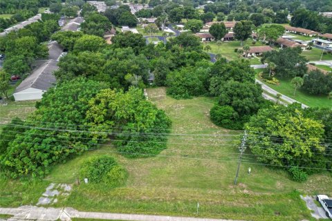 Land in Tavares, Florida № 1813546 - photo 12