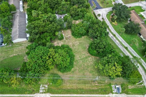 Land in Tavares, Florida № 1813546 - photo 10