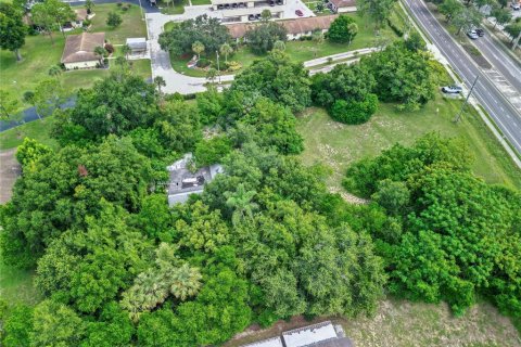 Land in Tavares, Florida № 1813546 - photo 15