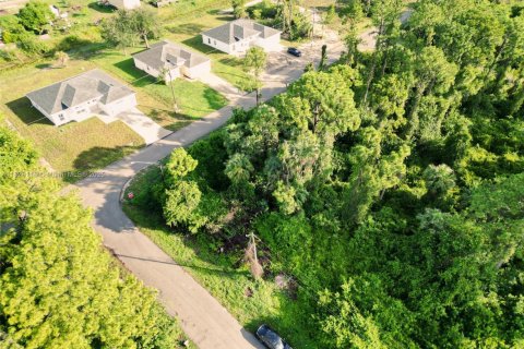 Land in Lehigh Acres, Florida № 2158134 - photo 3