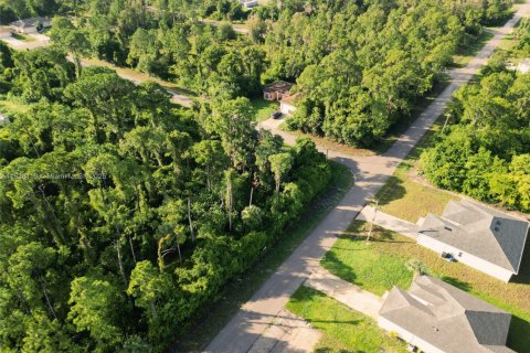 Land in Lehigh Acres, Florida № 2158134 - photo 2