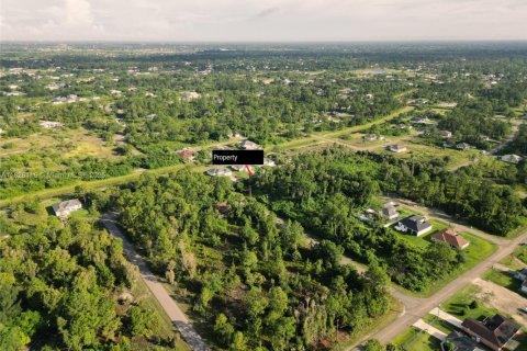 Land in Lehigh Acres, Florida № 2158134 - photo 13