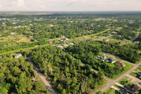 Land in Lehigh Acres, Florida № 2158134 - photo 7