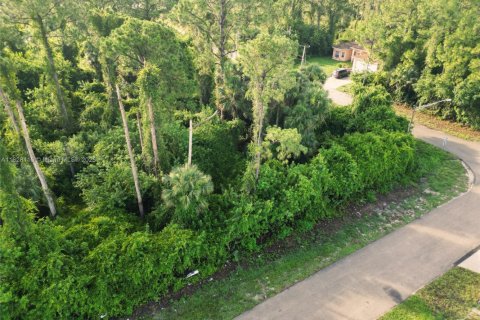 Land in Lehigh Acres, Florida № 2158134 - photo 9
