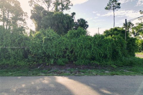 Land in Lehigh Acres, Florida № 2158134 - photo 10