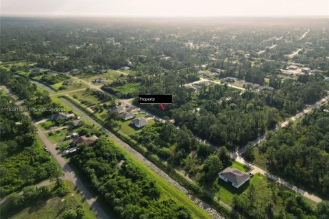Land in Lehigh Acres, Florida № 2158134 - photo 12