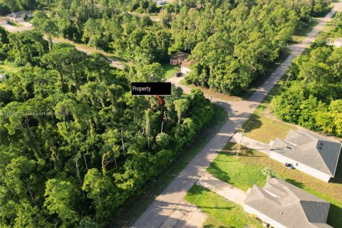 Land in Lehigh Acres, Florida № 2158134 - photo 5