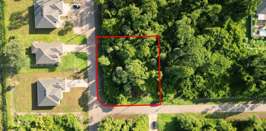 Land in Lehigh Acres, Florida № 2158134