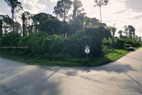 Land in Lehigh Acres, Florida № 2158134 - photo 11