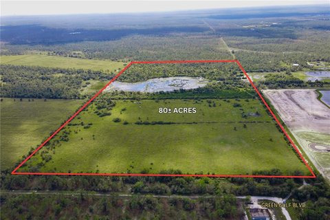 Land in Punta Gorda, Florida № 1688072 - photo 2