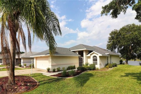 House in Leesburg, Florida 2 bedrooms, 145.95 sq.m. № 2394284