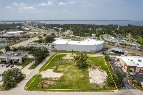 Land in Port Charlotte, Florida № 633252 - photo 13