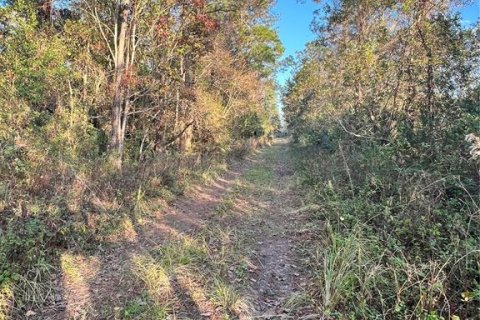 Terreno en venta en DeLand, Florida № 2150962 - foto 2