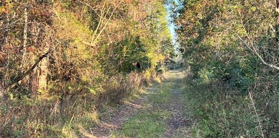 Terreno en DeLand, Florida № 2150962