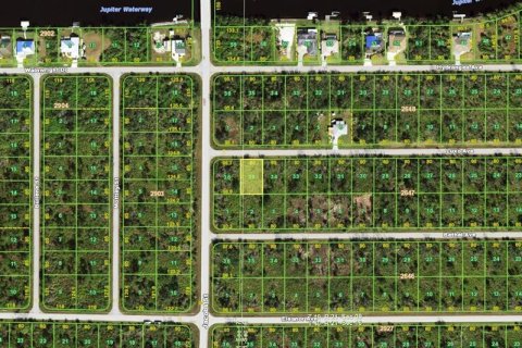 Land in Port Charlotte, Florida № 2161096 - photo 2
