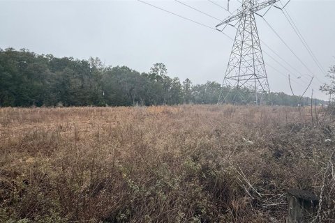 Immobilier commercial à vendre à Belleview, Floride: 1011.15 m2 № 2108692 - photo 6