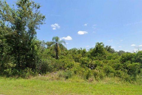 Terrain à Punta Gorda, Floride № 2161032