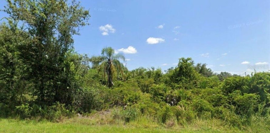 Terrain à Punta Gorda, Floride № 2161032