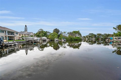 Купить земельный участок в Палм-Харбор, Флорида № 1772822 - фото 15