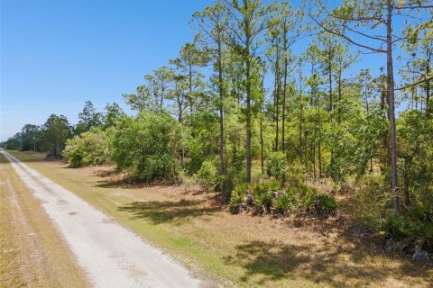 Land in Indian lake estates, Florida № 2165075 - photo 7