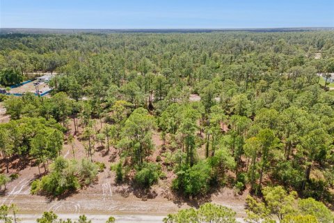 Land in Indian lake estates, Florida № 2165075 - photo 14