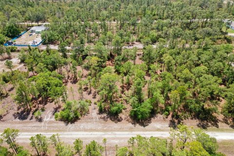 Land in Indian lake estates, Florida № 2165075 - photo 16