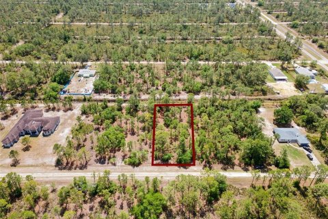 Land in Indian lake estates, Florida № 2165075 - photo 3