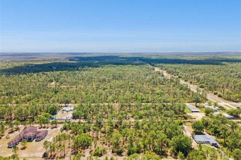 Land in Indian lake estates, Florida № 2165075 - photo 13