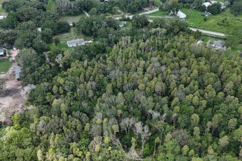 Land in Lakeland, Florida № 1917276 - photo 22