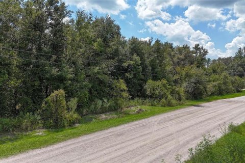 Land in Lakeland, Florida № 1917276 - photo 4
