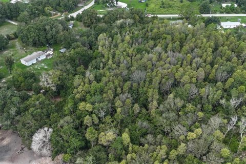 Land in Lakeland, Florida № 1917276 - photo 23