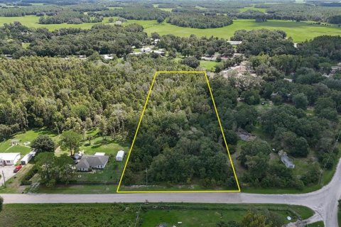 Land in Lakeland, Florida № 1917276 - photo 1