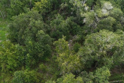 Land in Lakeland, Florida № 1917276 - photo 27