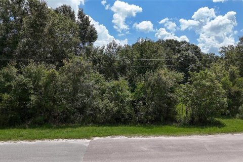 Land in Lakeland, Florida № 1917276 - photo 9