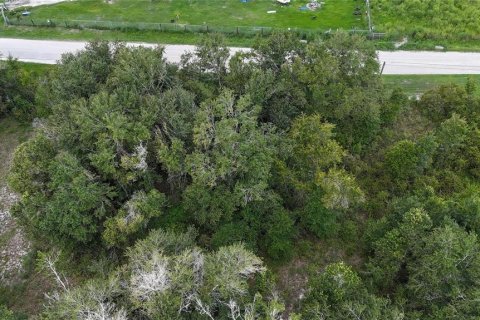 Land in Lakeland, Florida № 1917276 - photo 2