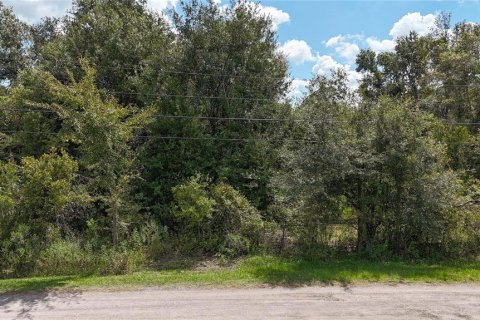 Land in Lakeland, Florida № 1917276 - photo 7