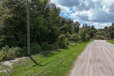 Land in Lakeland, Florida № 1917276 - photo 3