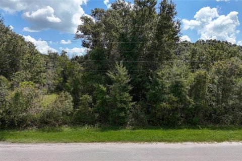 Land in Lakeland, Florida № 1917276 - photo 8