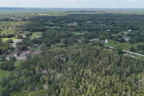 Land in Lakeland, Florida № 1917276 - photo 20